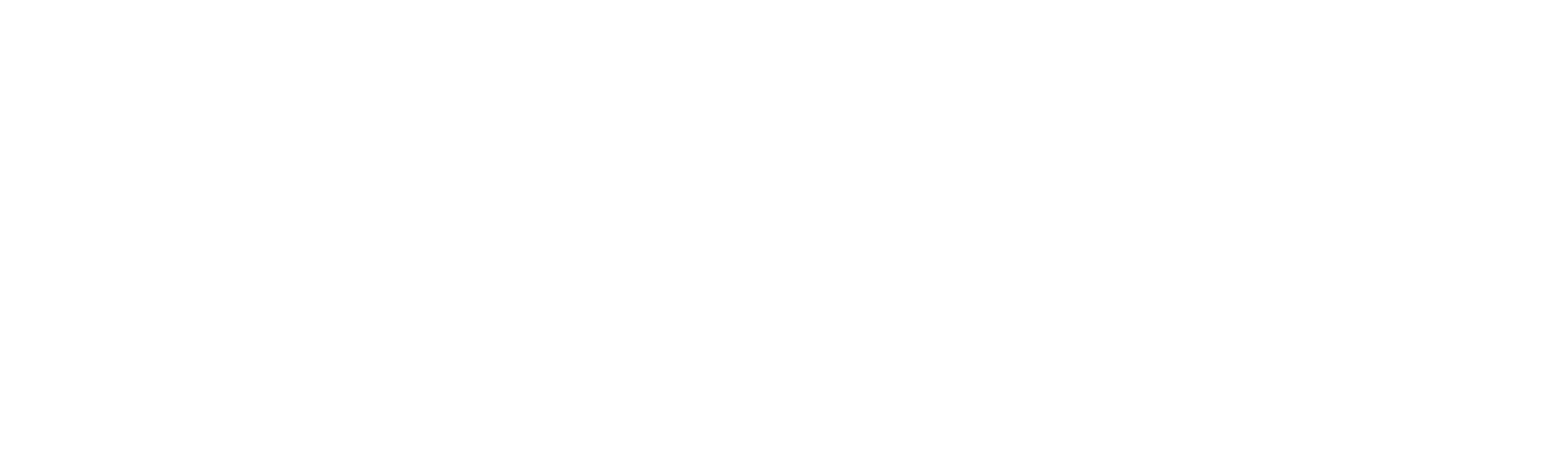 Logo featuring a plus sign and stylized text, conveying a sense of health and wellness.