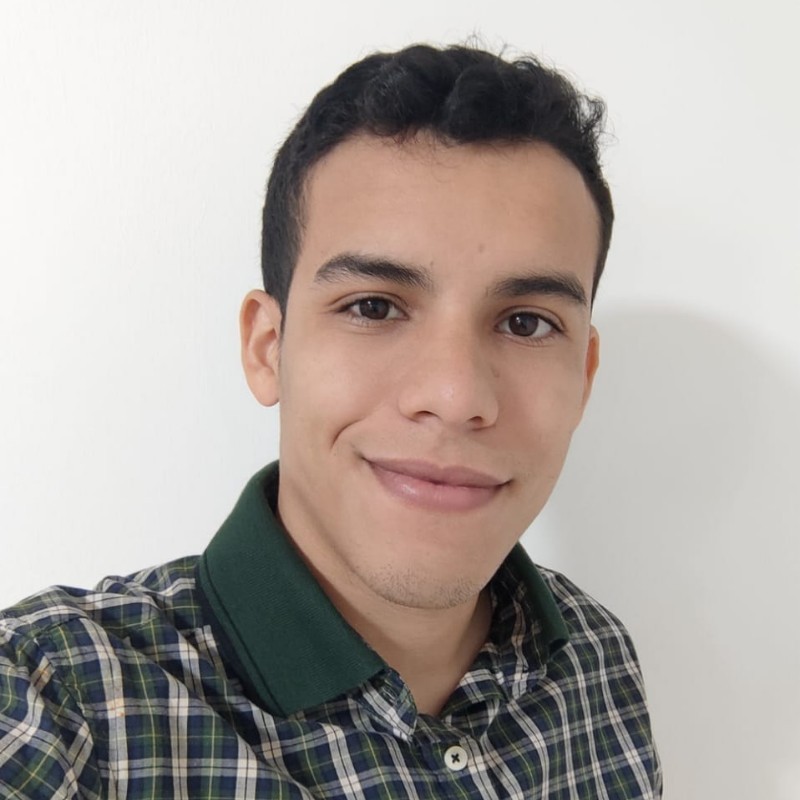 Portrait of a small brown dog on yellow background