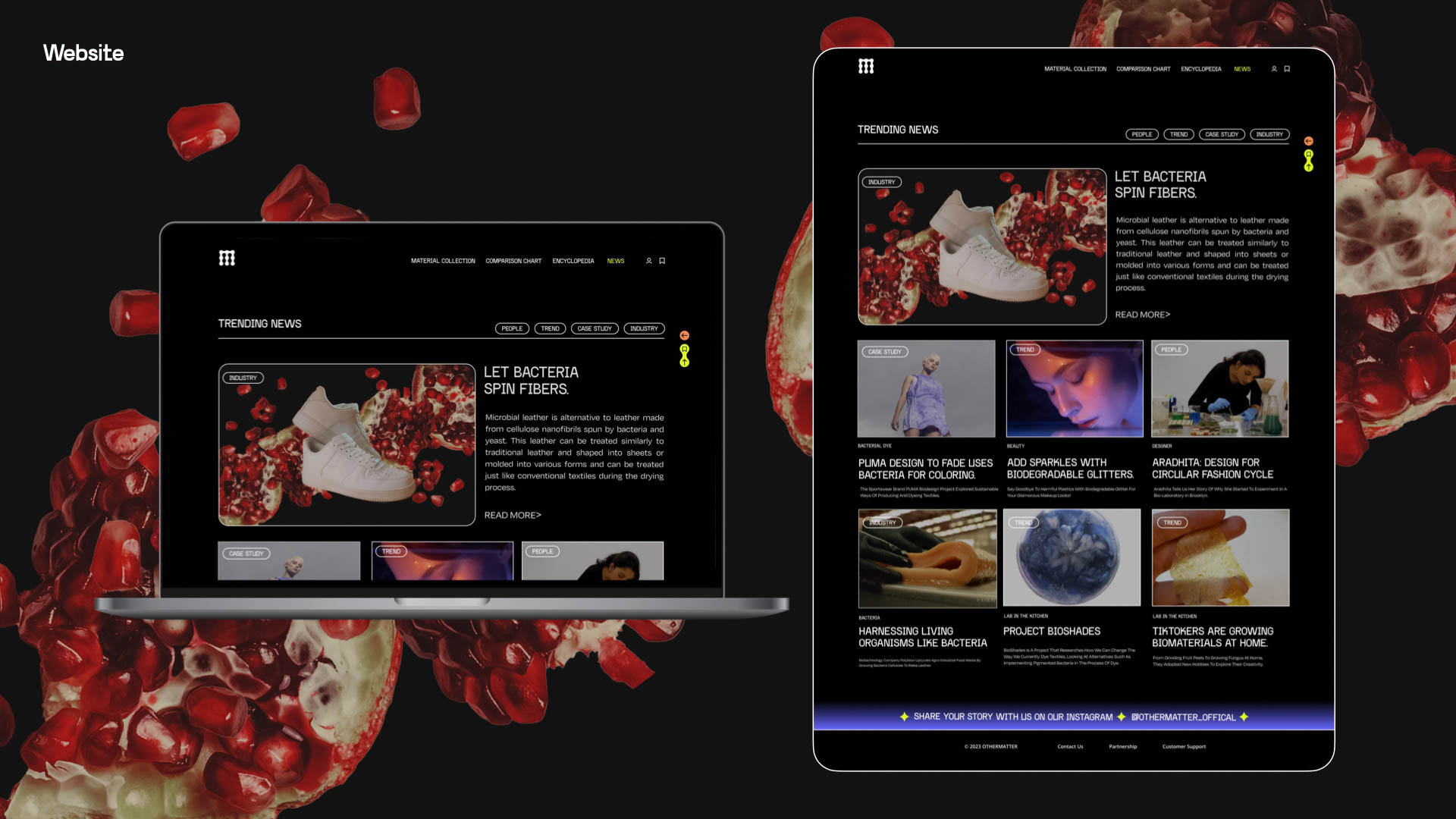 A website design showcases a black background with scattered red pomegranate seeds and images of leather shoes. The left side displays a laptop screen with “TRENDING NEWS” and “LET BACTERIA SPIN FIBERS” text, accompanied by images of leather shoes and leatherwork. The right side features “TRENDING NEWS” with images of leather shoes and leatherwork, along with additional images of leather goods and text. The design incorporates a dark color scheme with black backgrounds, yellow accents, and white text.
