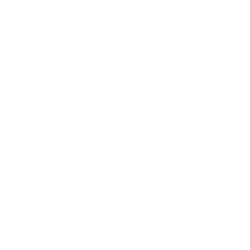 Logos des moteurs génératifs cibles de l'agence 0.1Lab : Perplexity