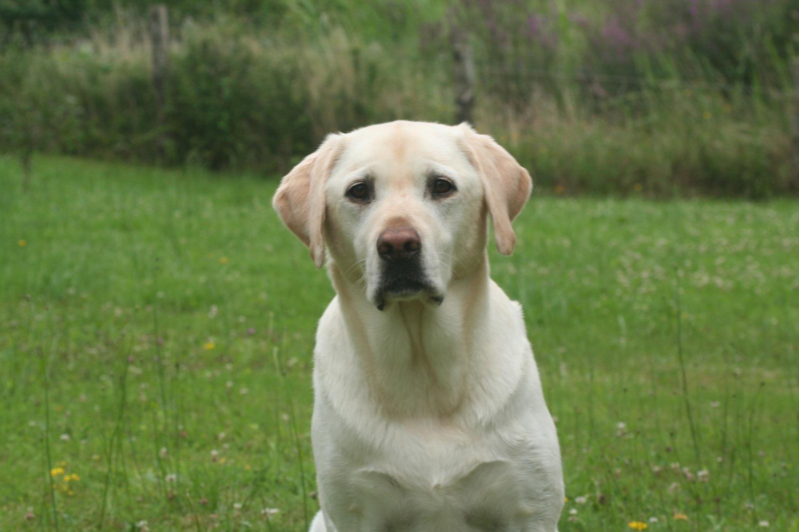 Cabinet Cuartero à pointe à Pitre