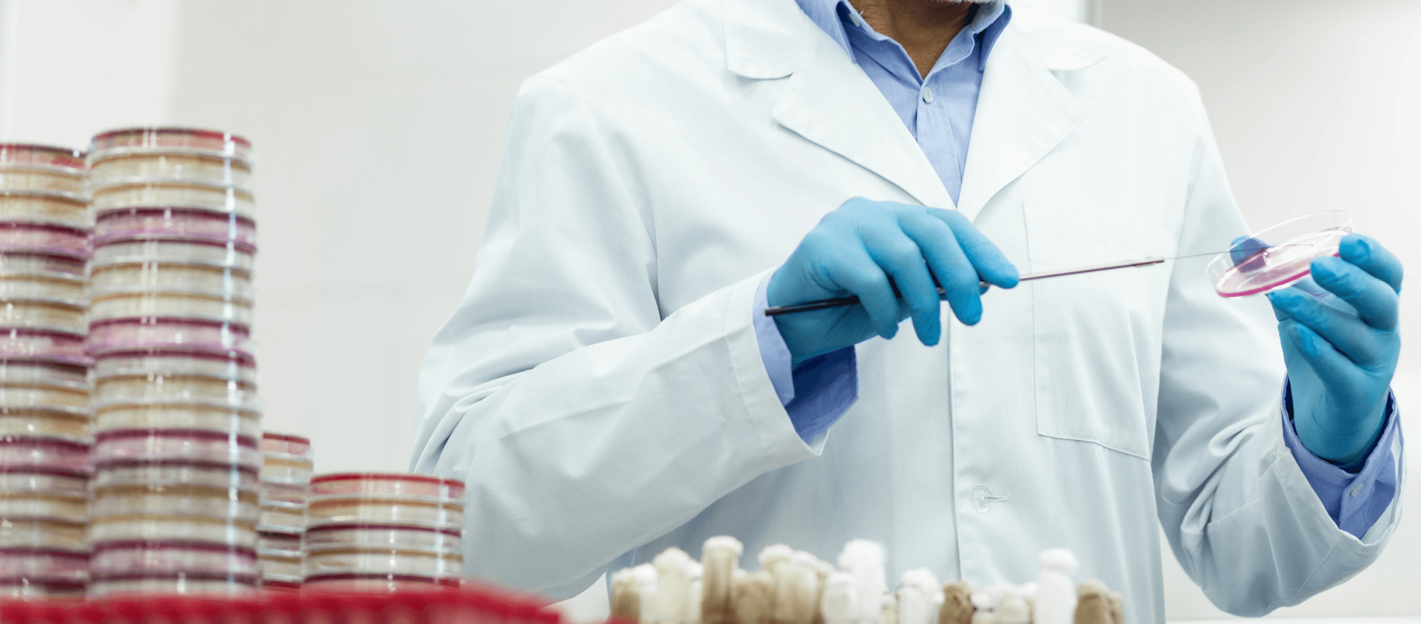 The image featured at the bottom of the about us page