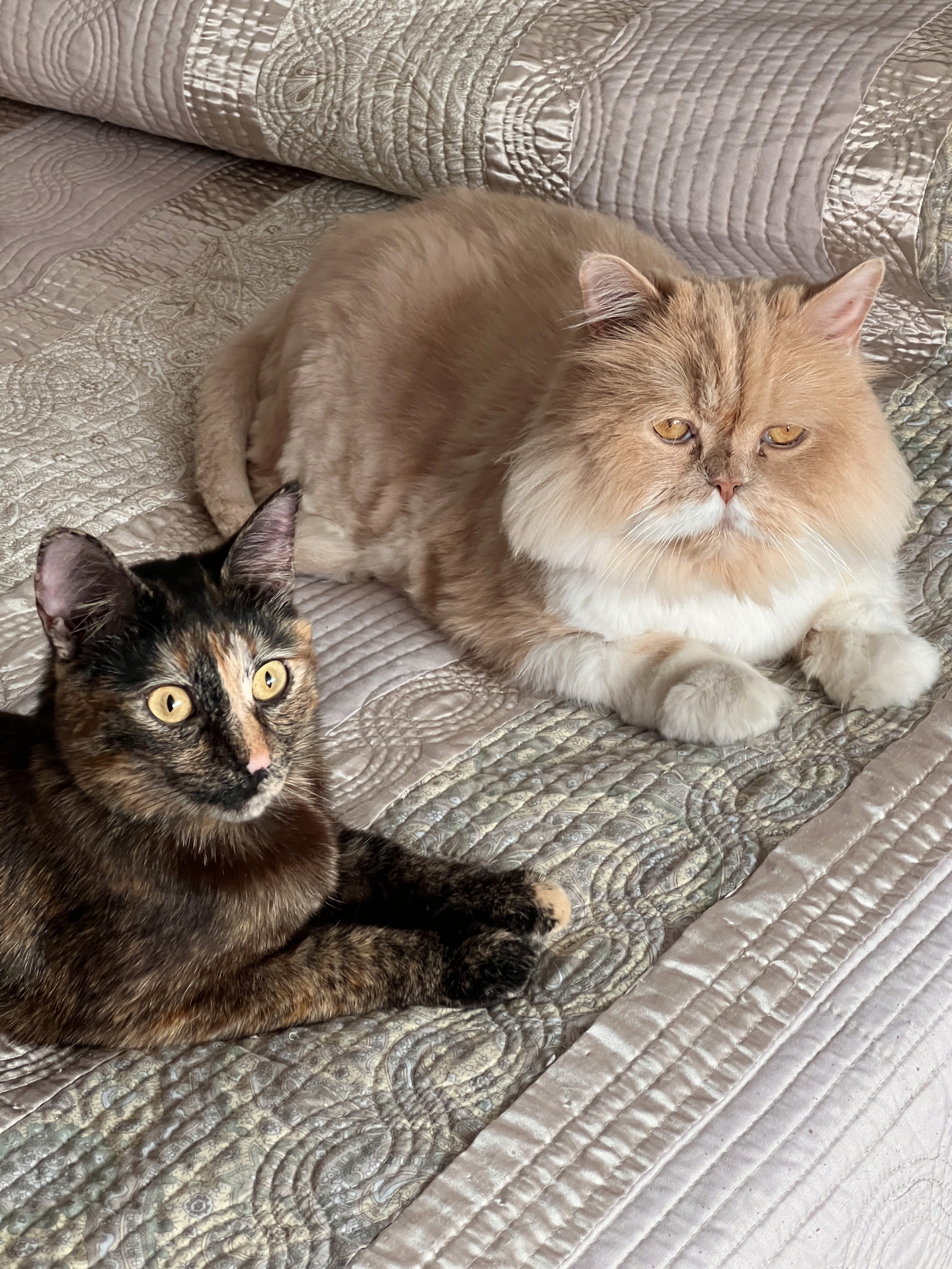 A portrait of a young man smiling