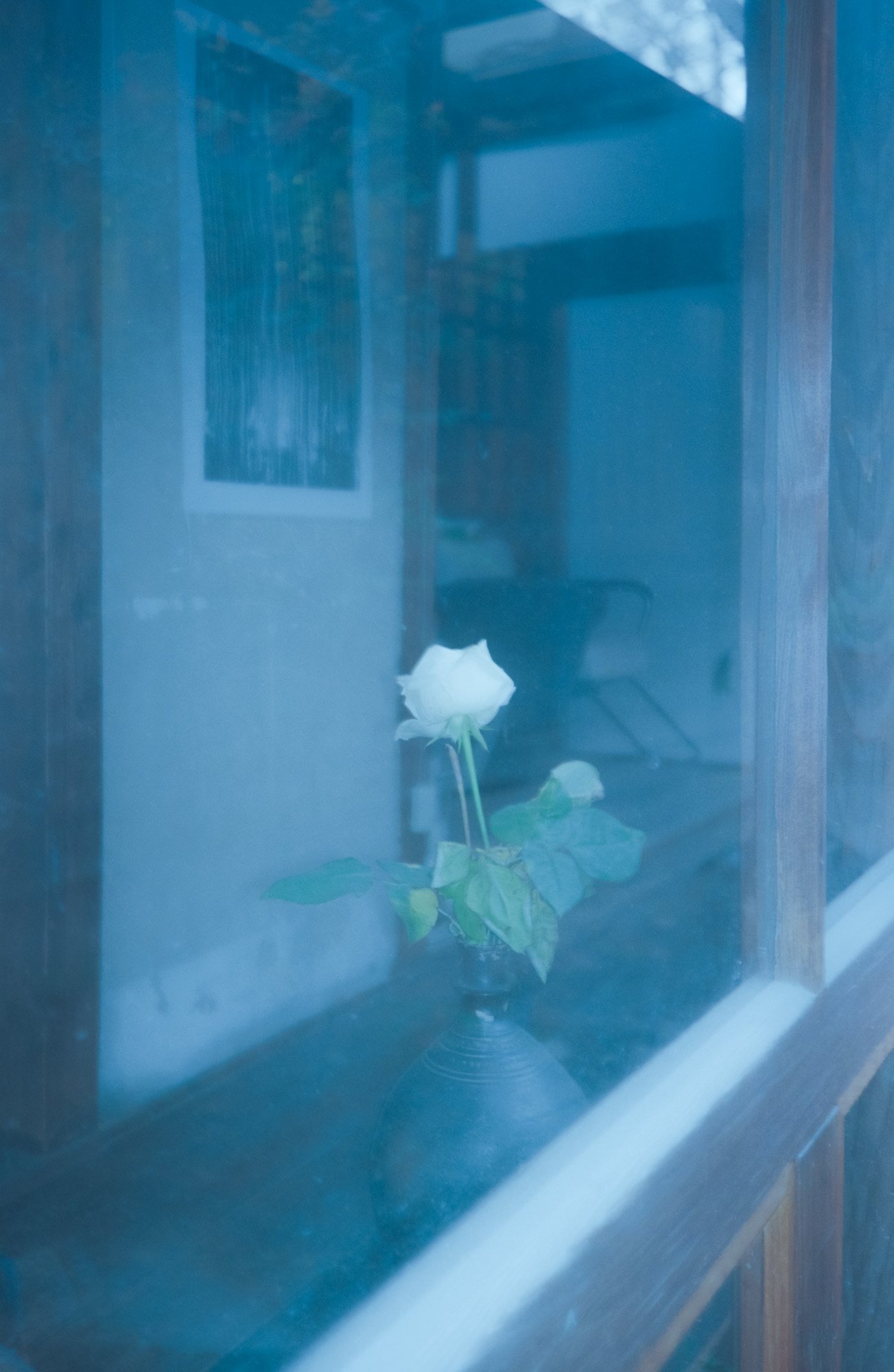 Taisei Matsumoto, archive random photograph 083