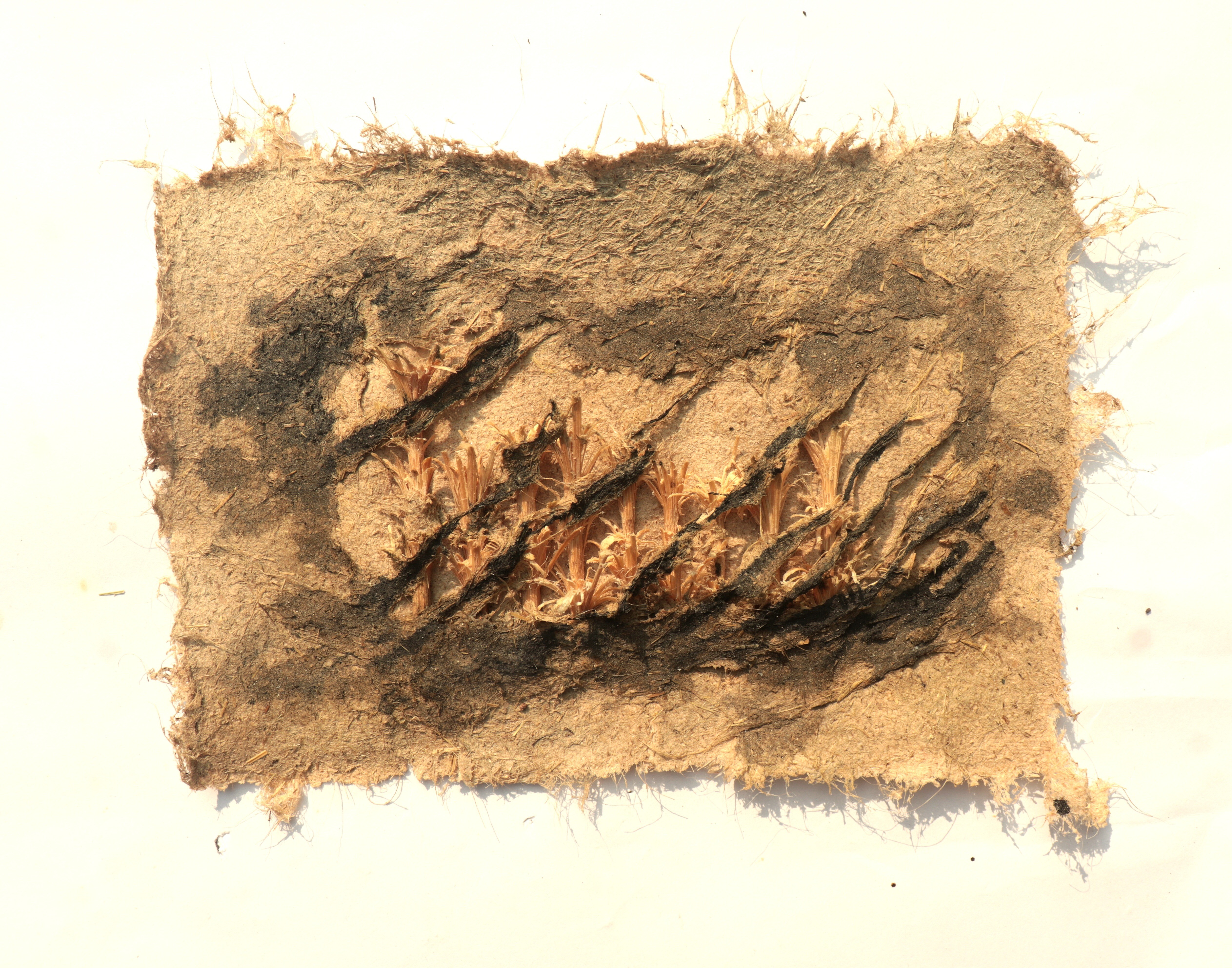 herd of sheep on road painting