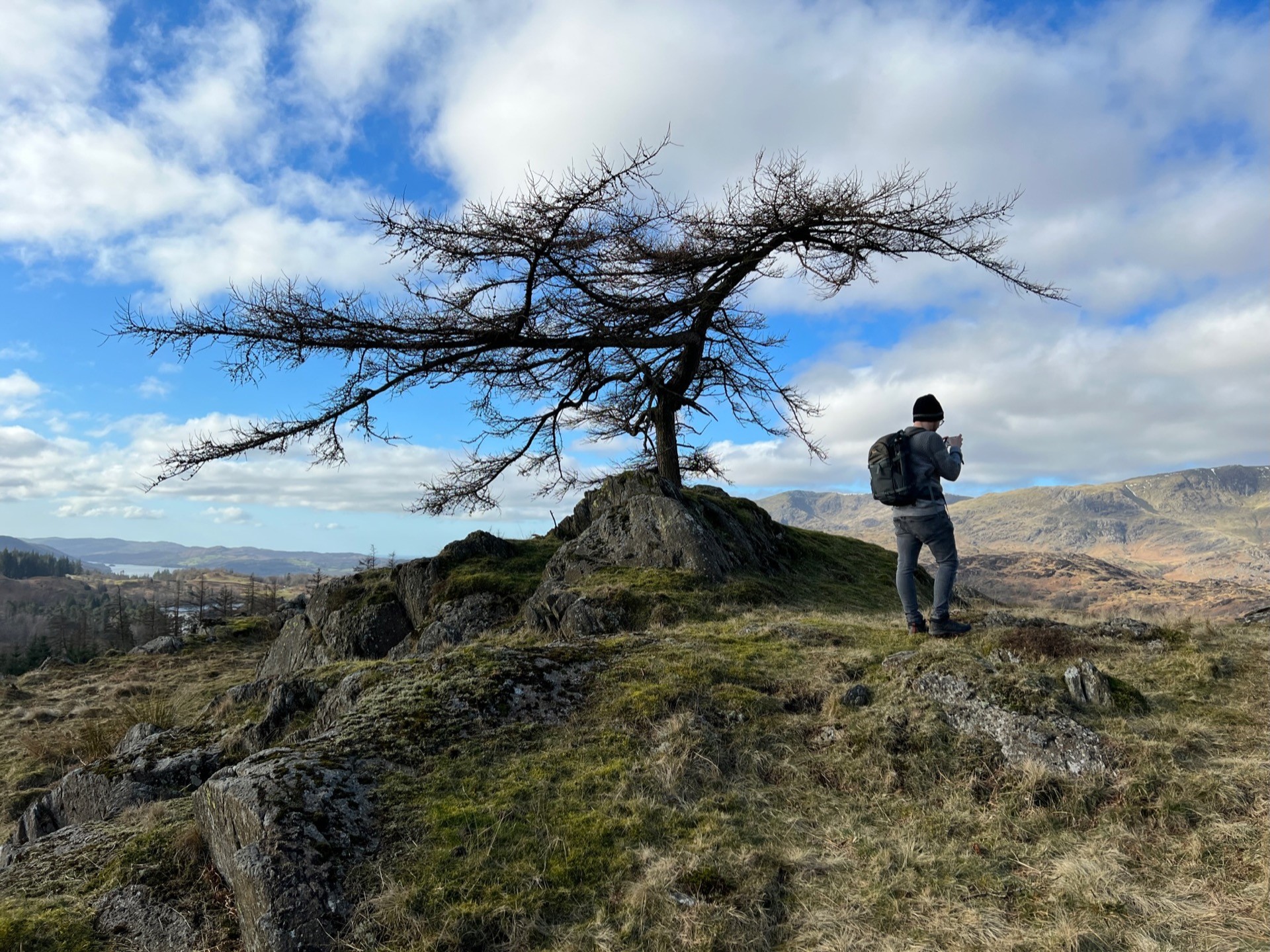 Martin taking a photo of a curved, windswept tree on the way up Black Fell.