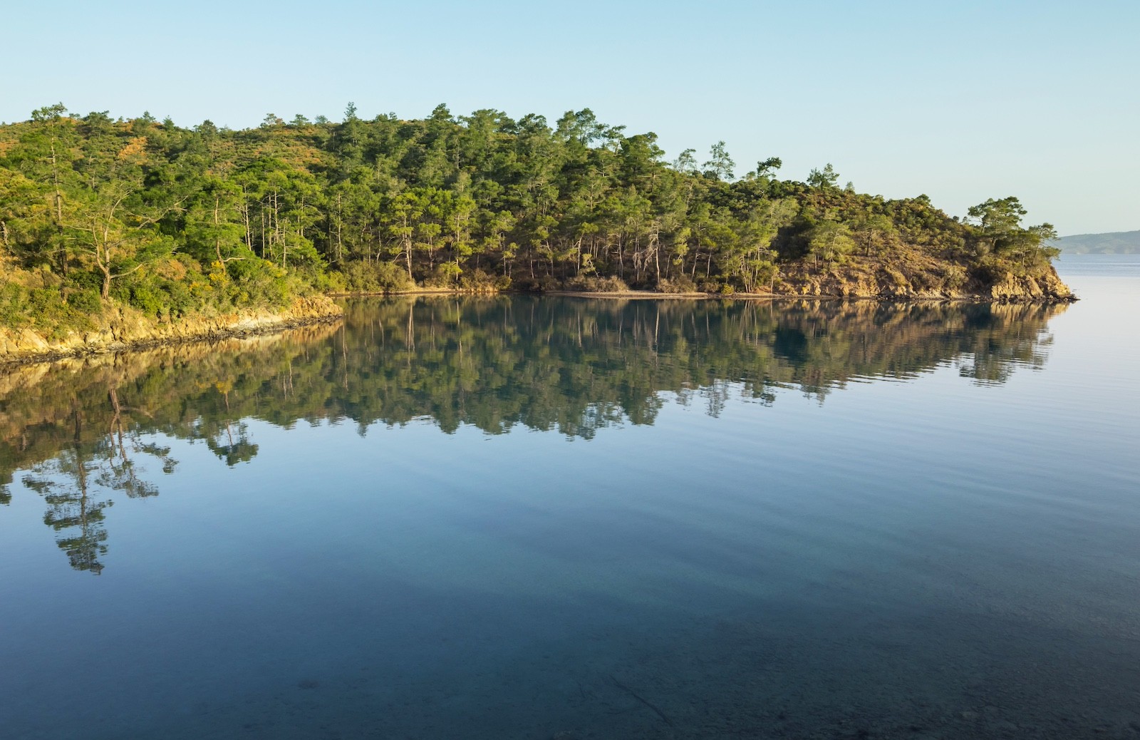 Still water reflecting a wooded shoreline, symbolising financial clarity, pacing, and long-term wealth stability following a liquidity event.