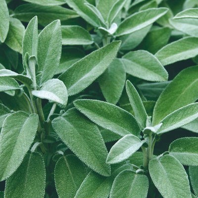 yellow lotion bottle