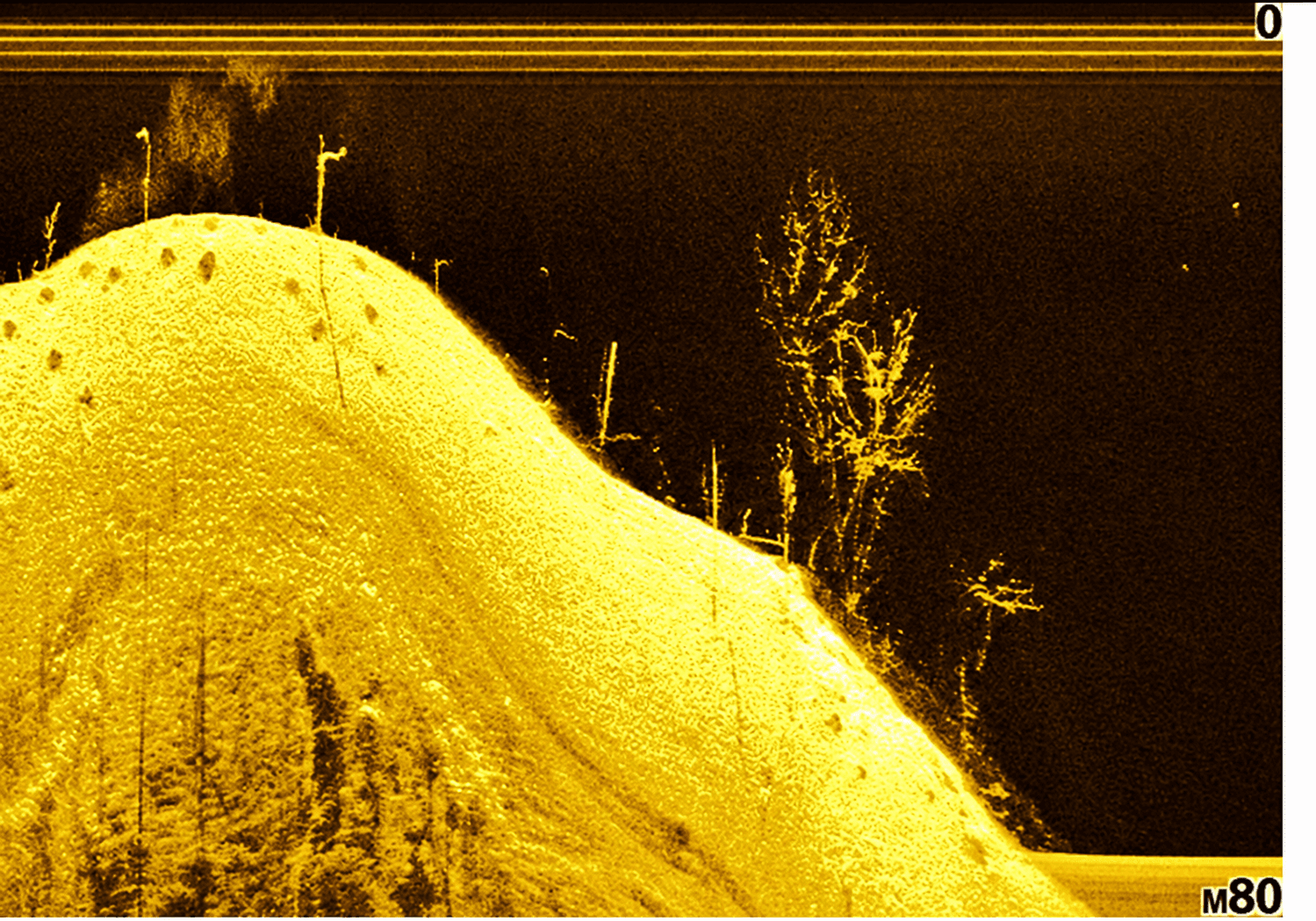 Illustrative sonar image of a seabed feature.