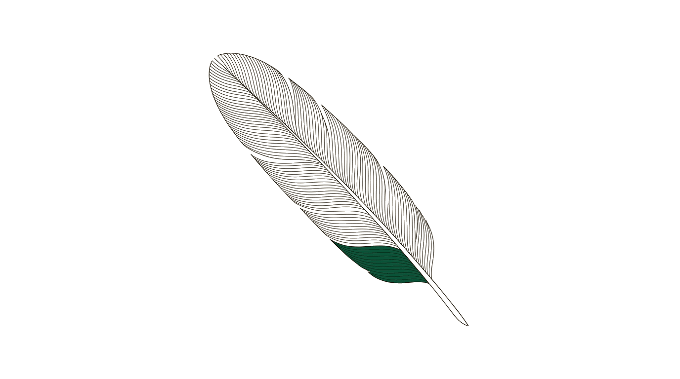 Functional Specification: Template and Guide for Bidders — feather illustration
