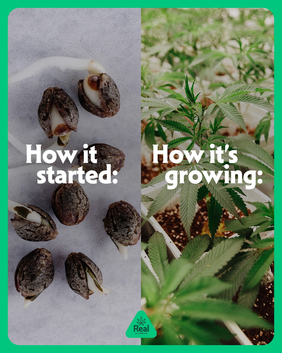 The image featured at the top of the about us page #2