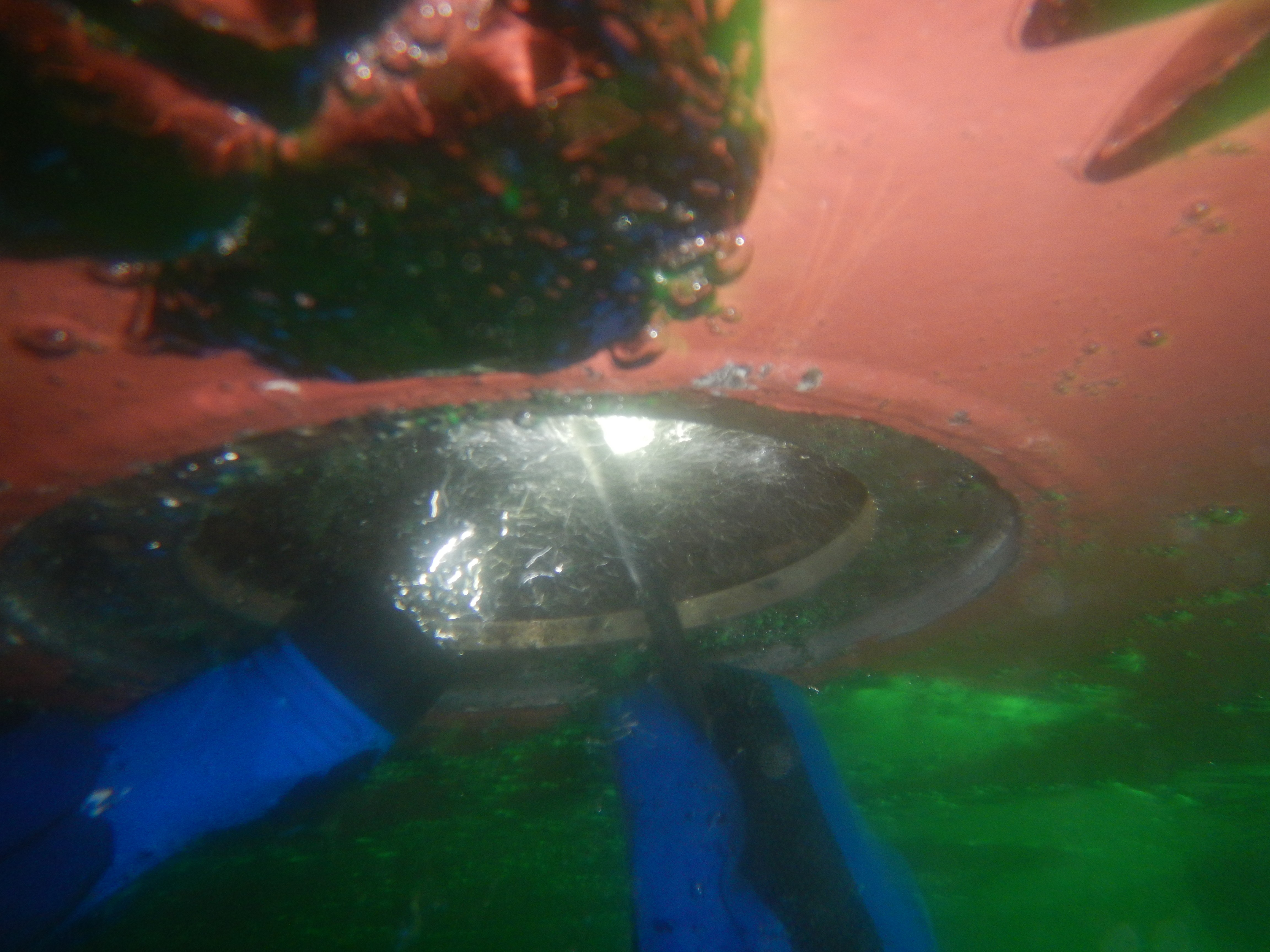 photography of two persons underwater