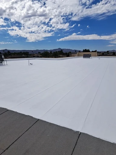 A Commercial Roof