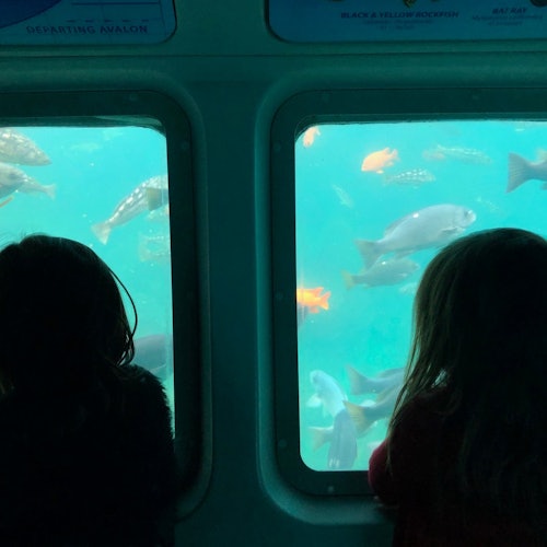 Catalina Island with Undersea Sub Adventure