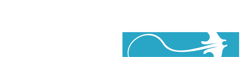 Raybrand Media logo representing professional videography services, creative content production and digital brand storytelling