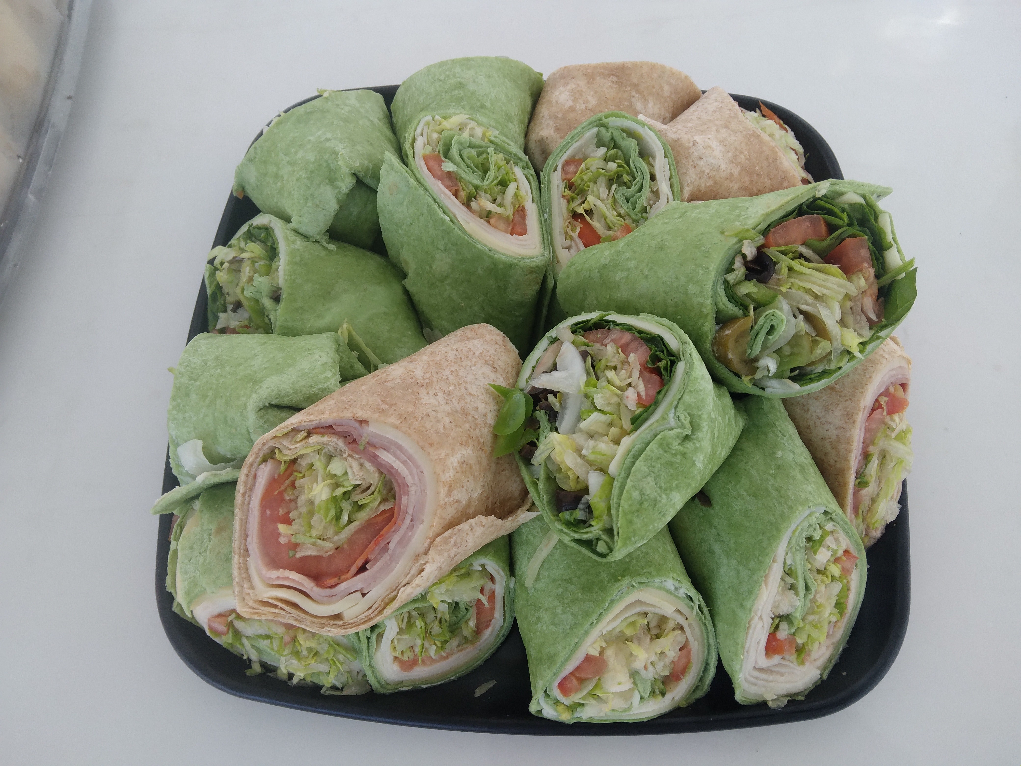 tree in a desert field