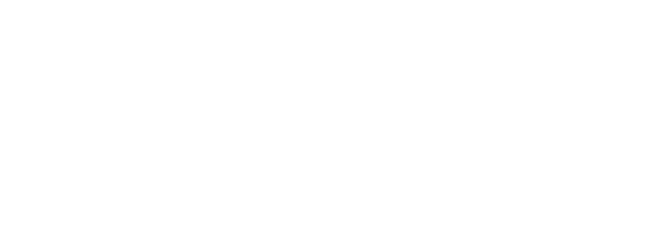 Koala logo