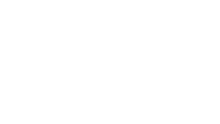 Marut Drones logo