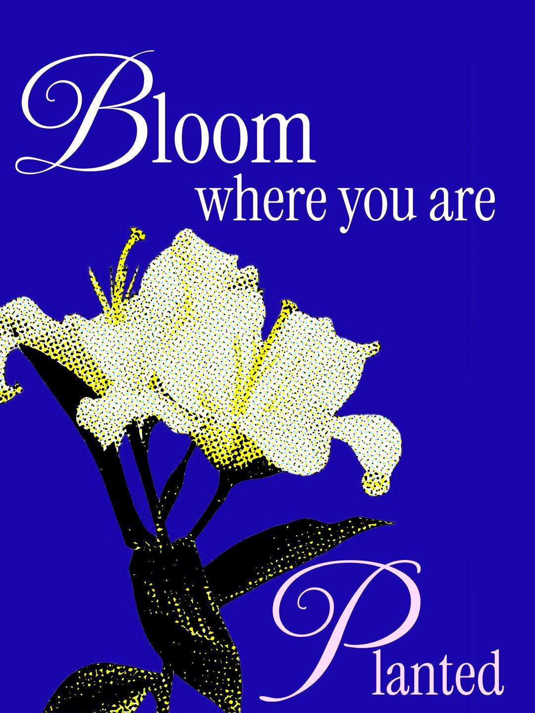 Brightly colored bottle on a turquoise background, surrounded by vibrant citrus fruit slices and tropical leaves.