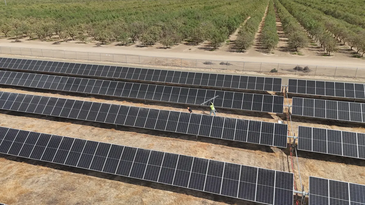Drone view of ground-mount solar rows beside an orchard at CALCOM in Chowchilla, CA