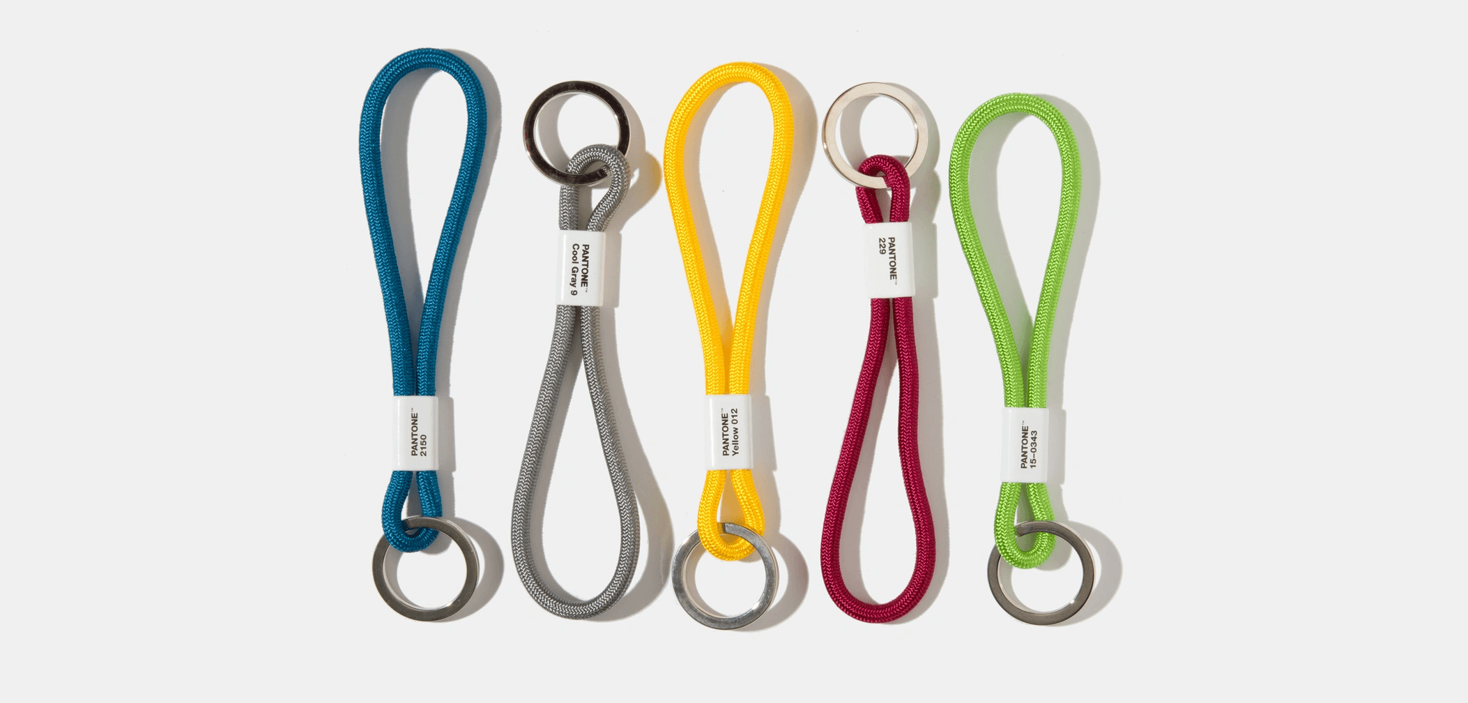 Set of five Pantone keychains in blue, gray, yellow, red, and green with metal rings.