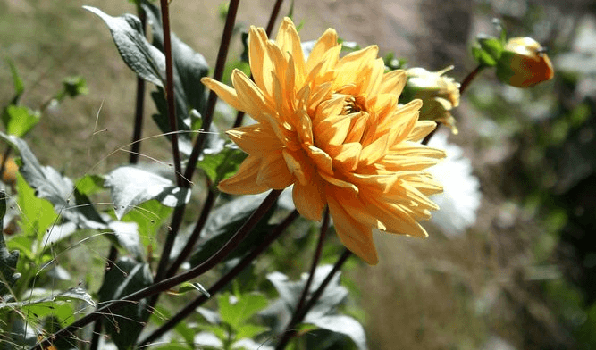 Soulful and green investment in rural France and rural Portugal for an incredible experience.