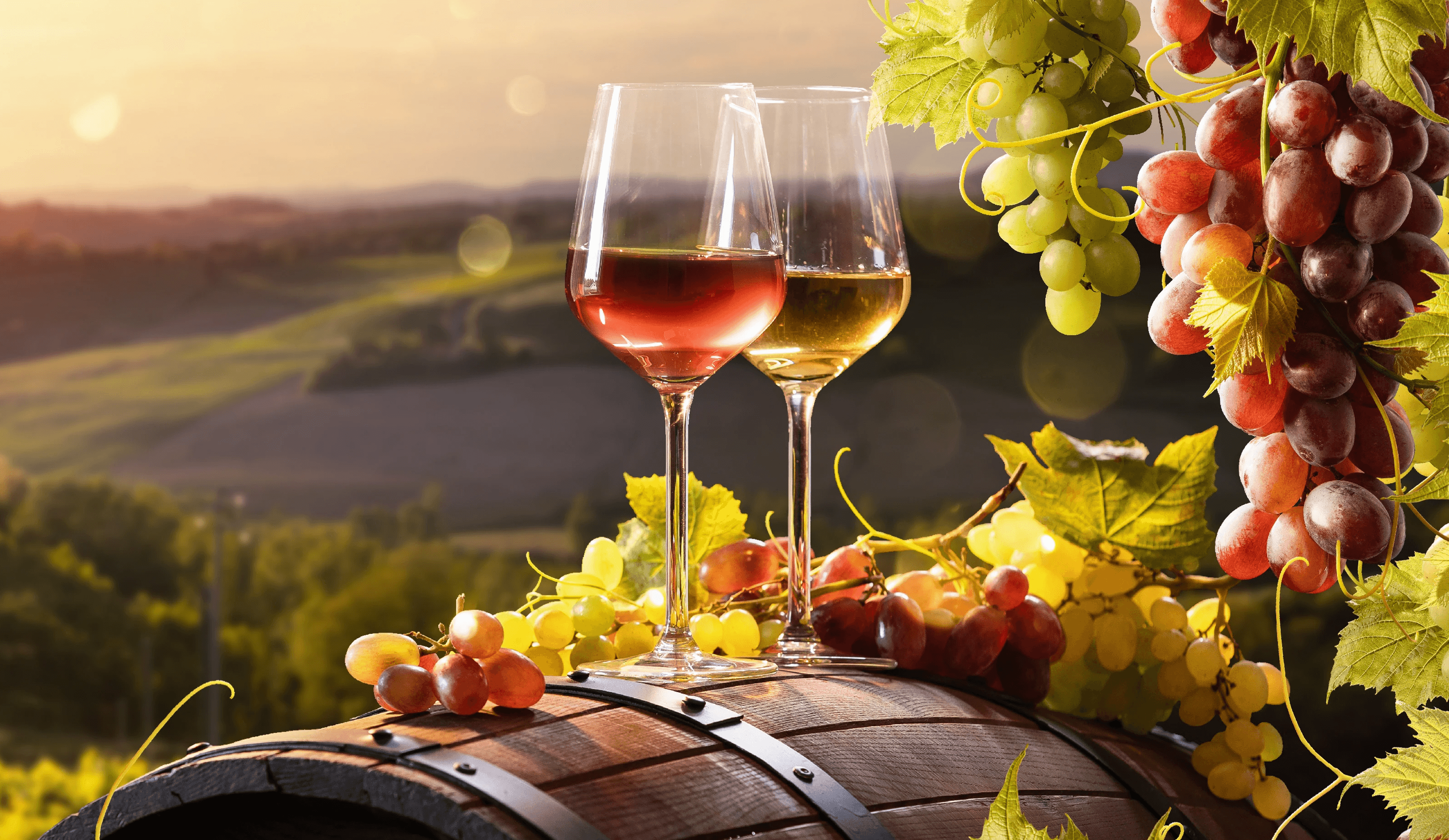 Vingårdsbesøk hos Enrique Mendoza, Alfaz del pi - med Expa Travel