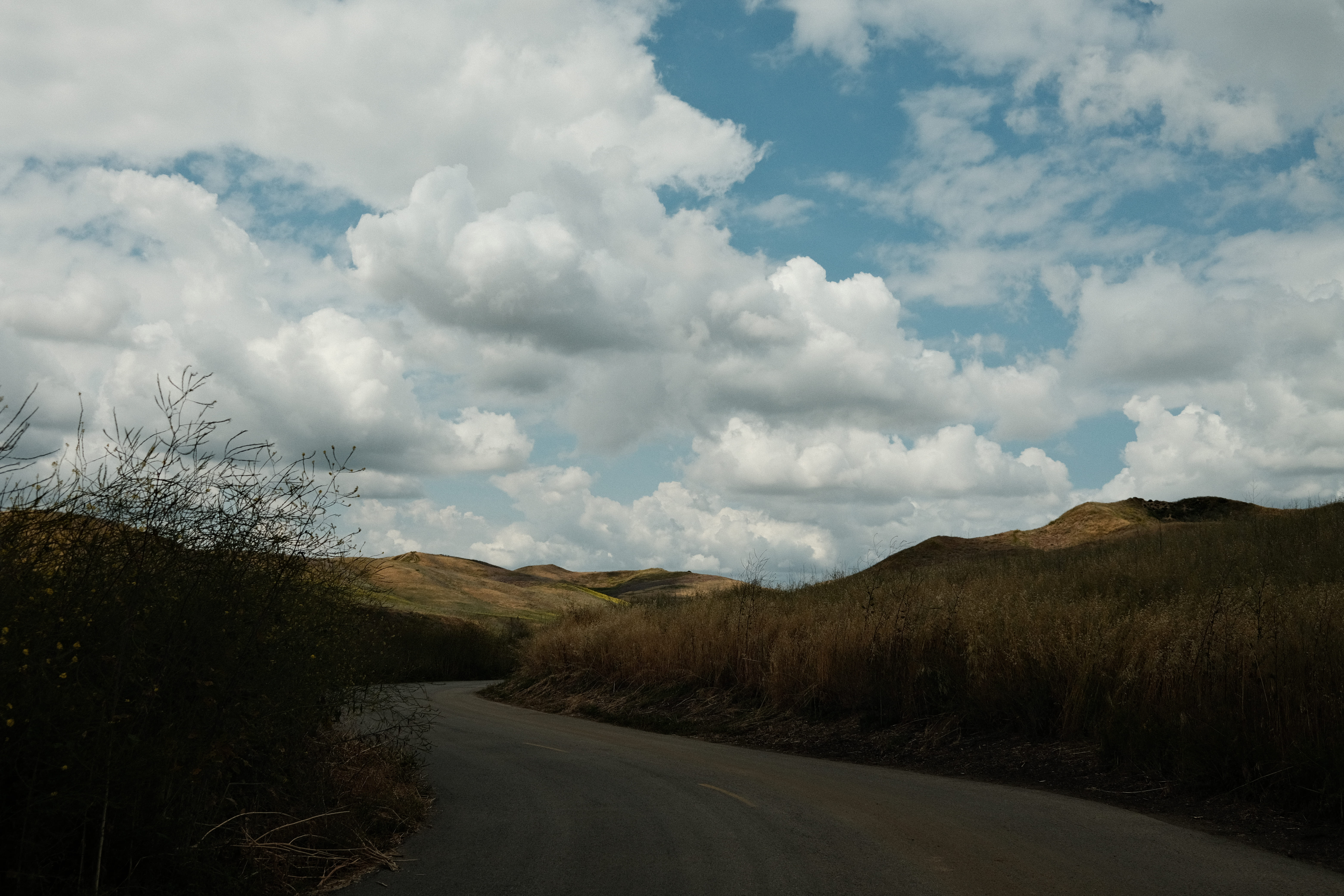 photo of pathway under cloudy sky