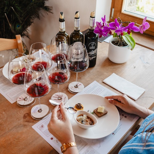 gourmet wine and food tasting brunello