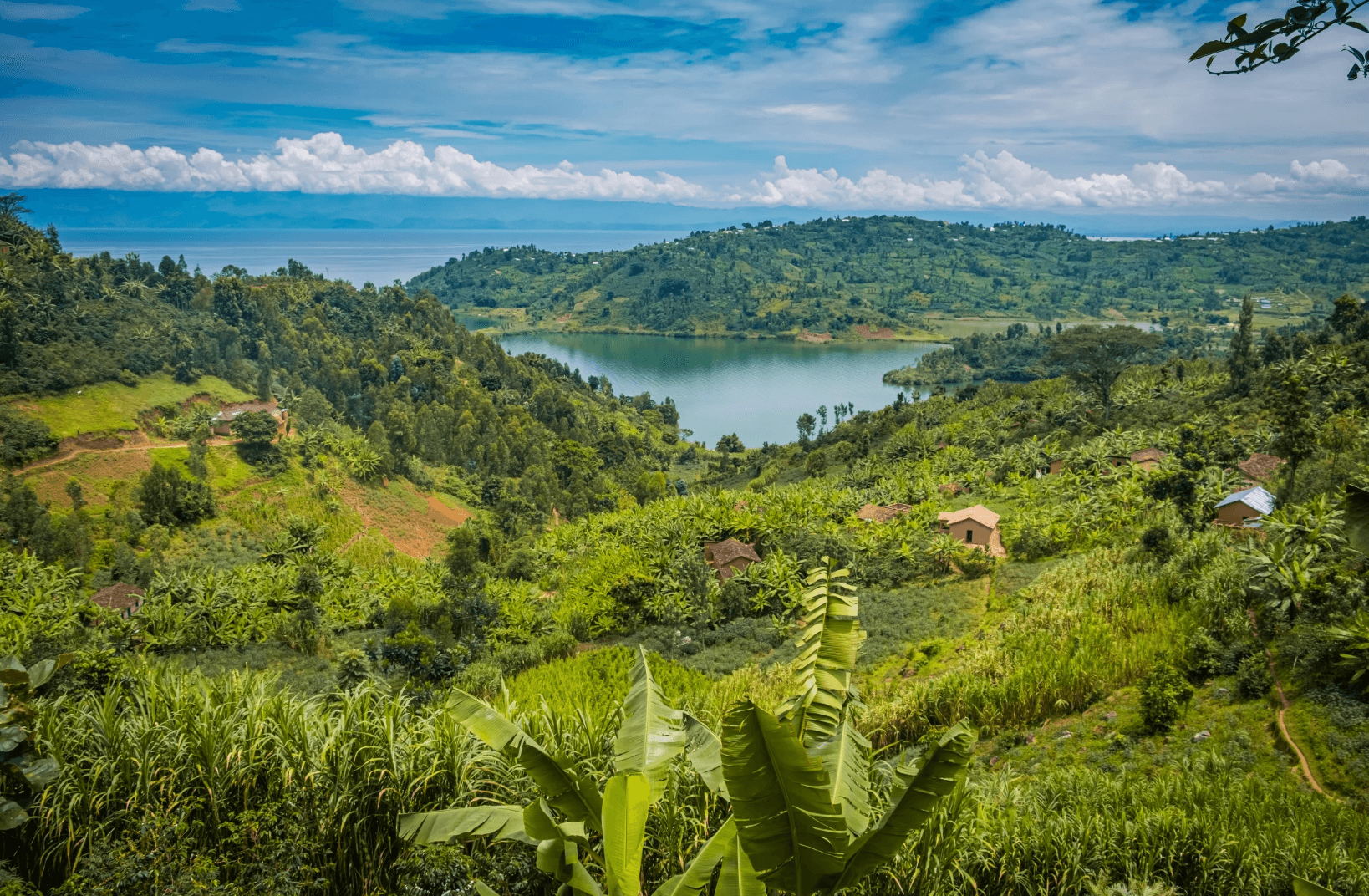 Comment créer une société au Rwanda avec une fiscalité avantageuse ?