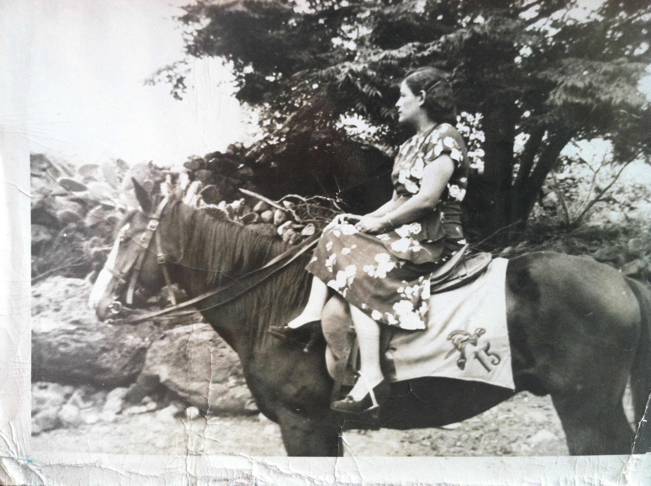 old photo of woman on a horse