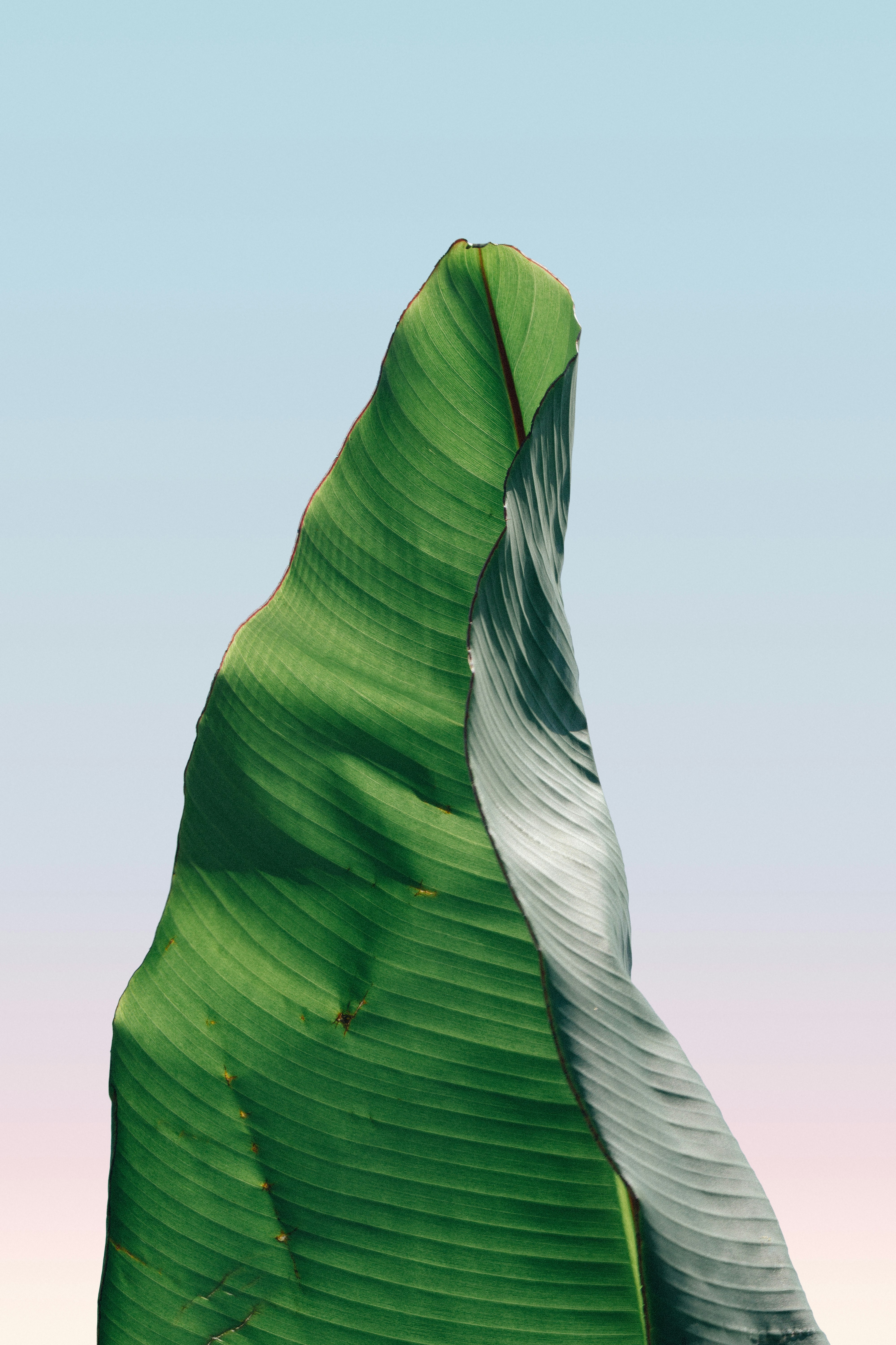 gradiant background