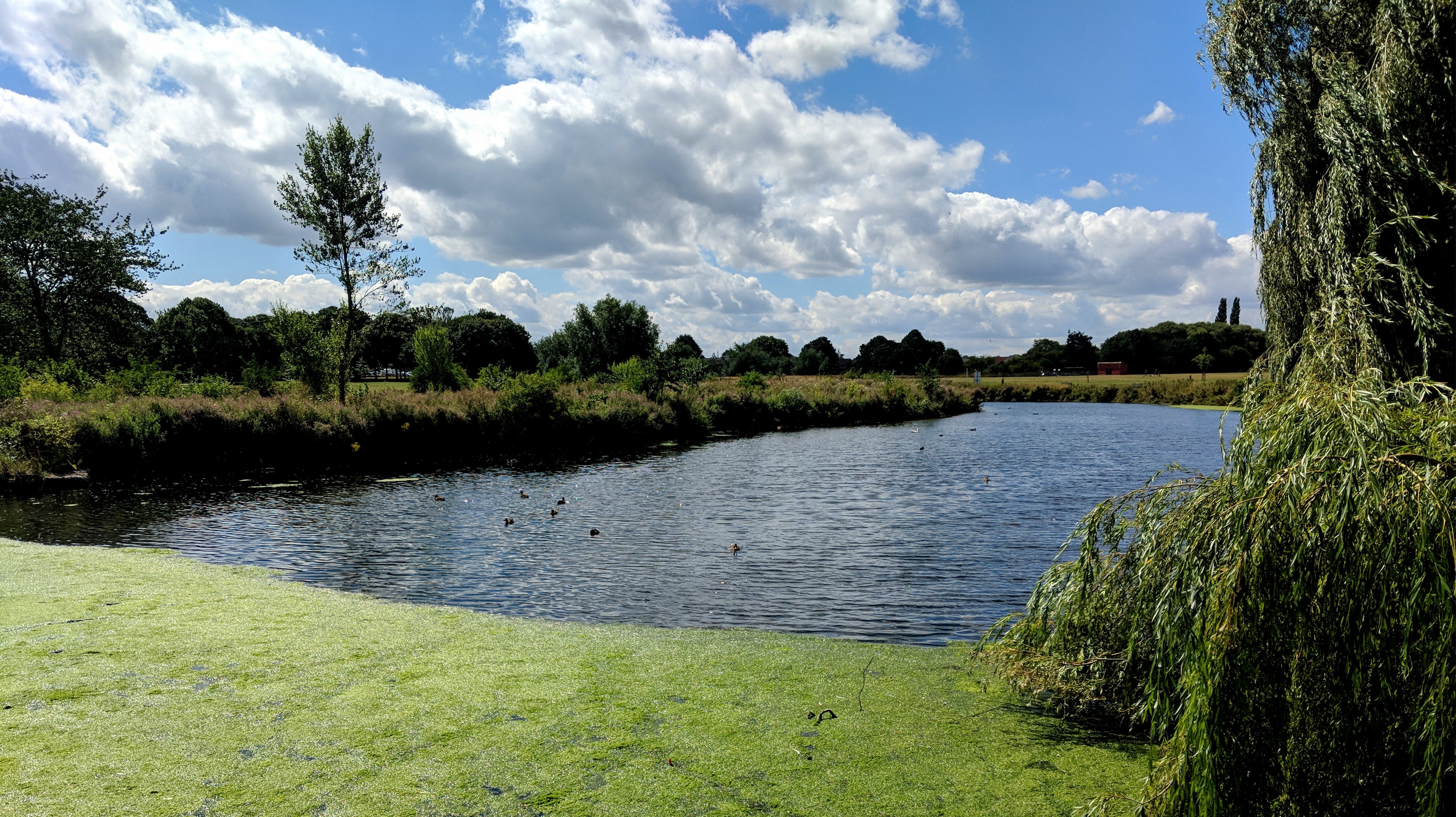 Visit Carrs Park Lake for a walk or a run, one of the best things to do in Wilmslow for fitness lovers