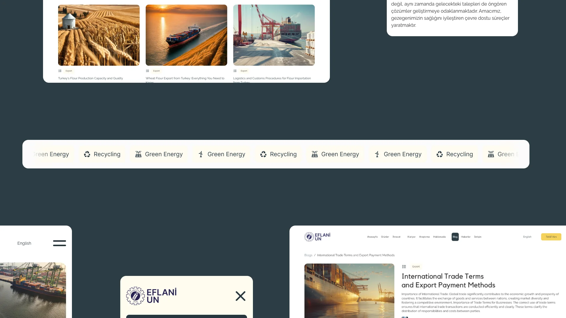 Website showcase mixed 2