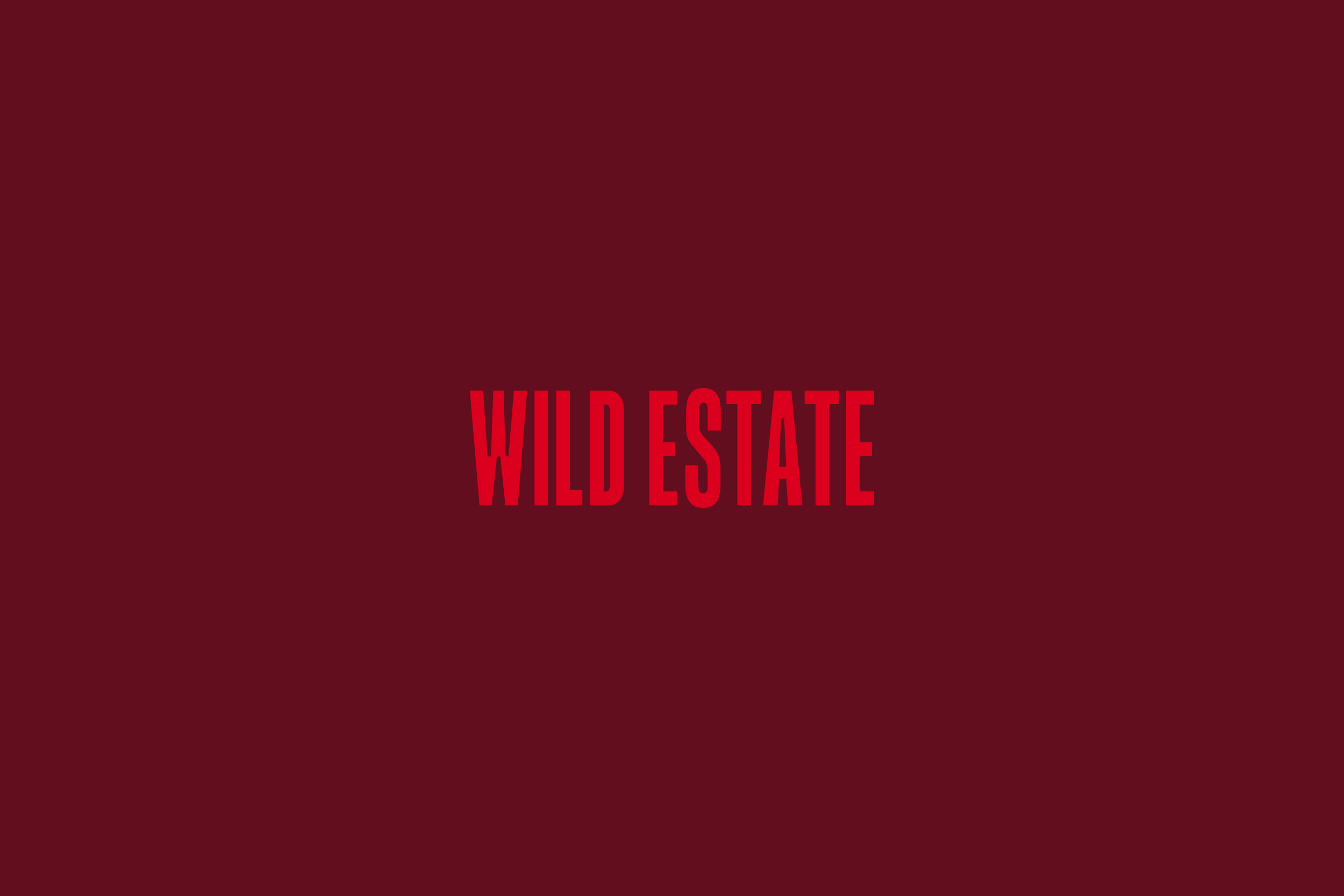 Wild Estate Logo Colours