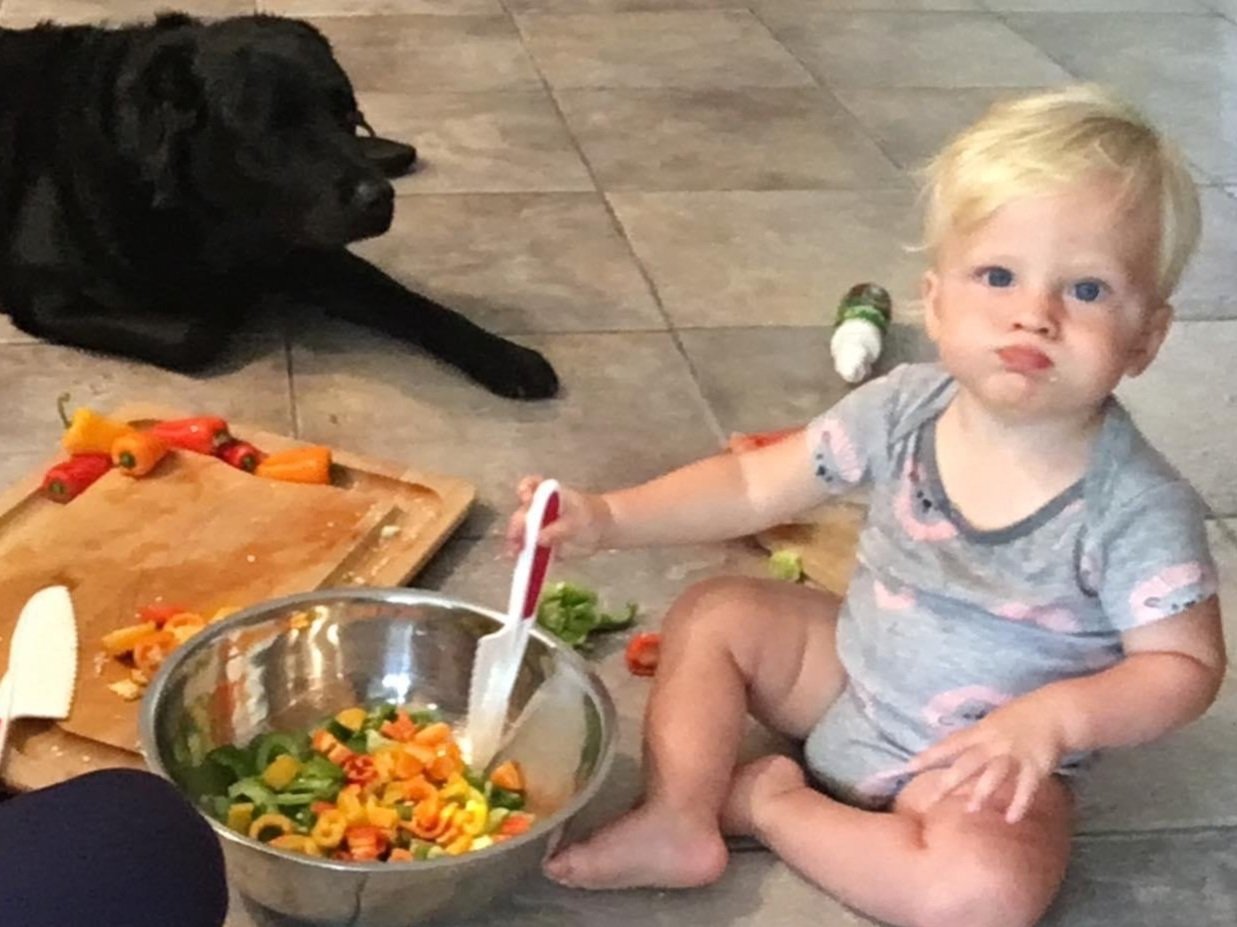 young toddler eats colorful veggies out of a bowl on the floor while a black labrador looks on