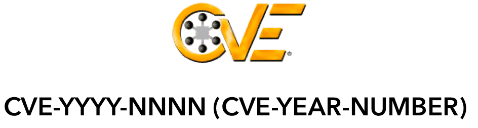 CVE 식별 번호의 규칙