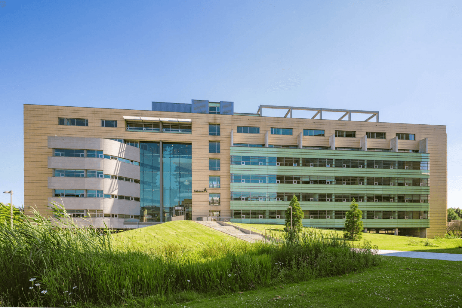 A mood image of a man