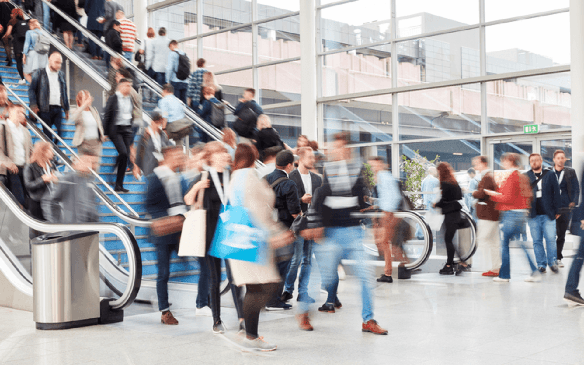 customer persona development