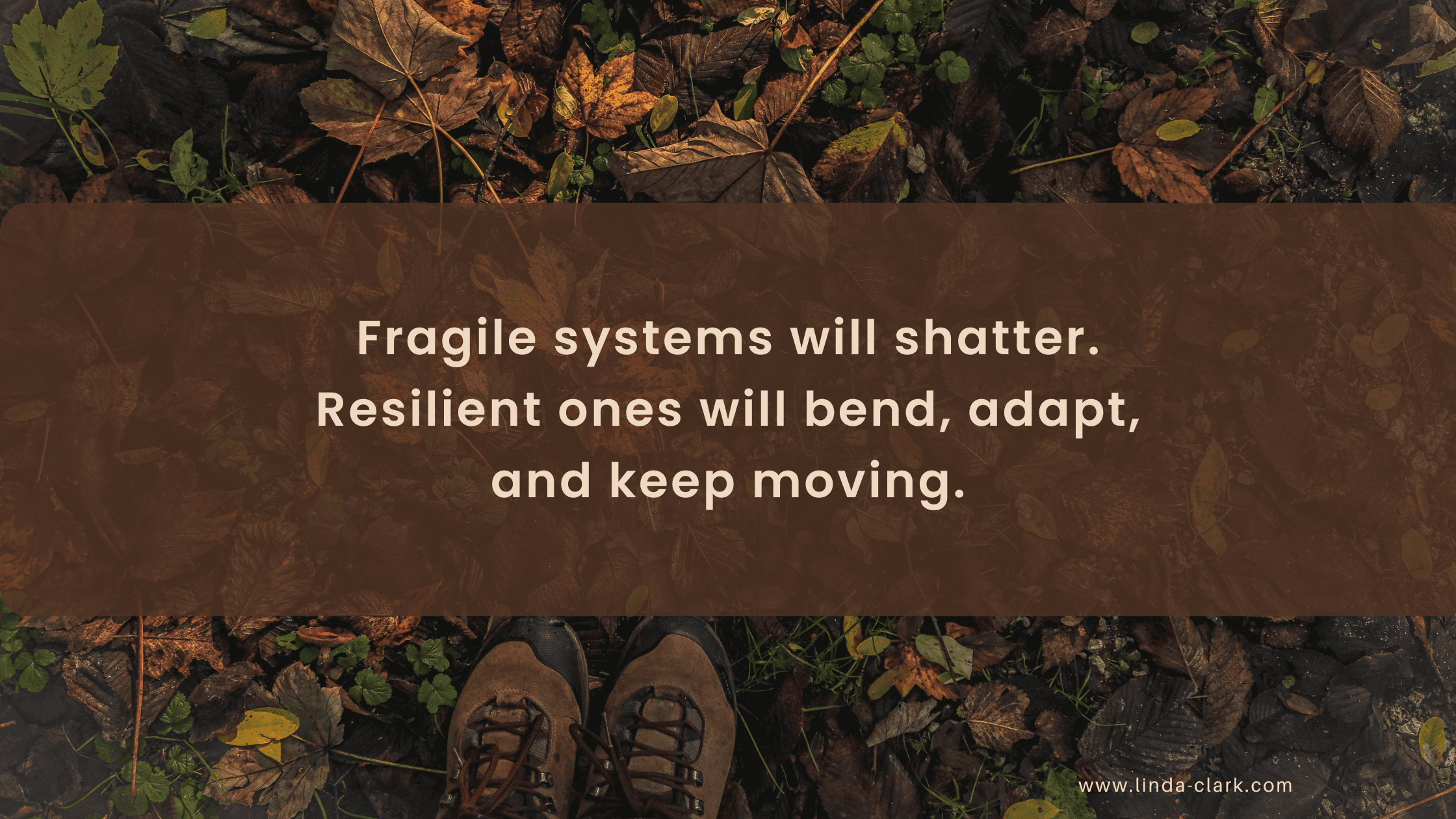 A photo of a forest floor covered in leaves and looking down at your boots in the leaves. The title of the blog post is on a brown background and says Sustainable Resilience: Beyond the 8-Second Ride | Linda Clark