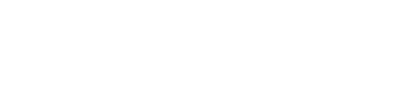 Volnewmer Logo