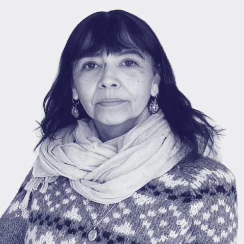 Foto de Luisa Acevedo, consejera del consejo regional de IdeaPaís O'Higgins. 