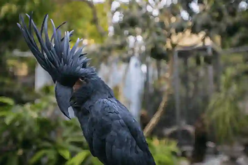 Bird in a natural setting.