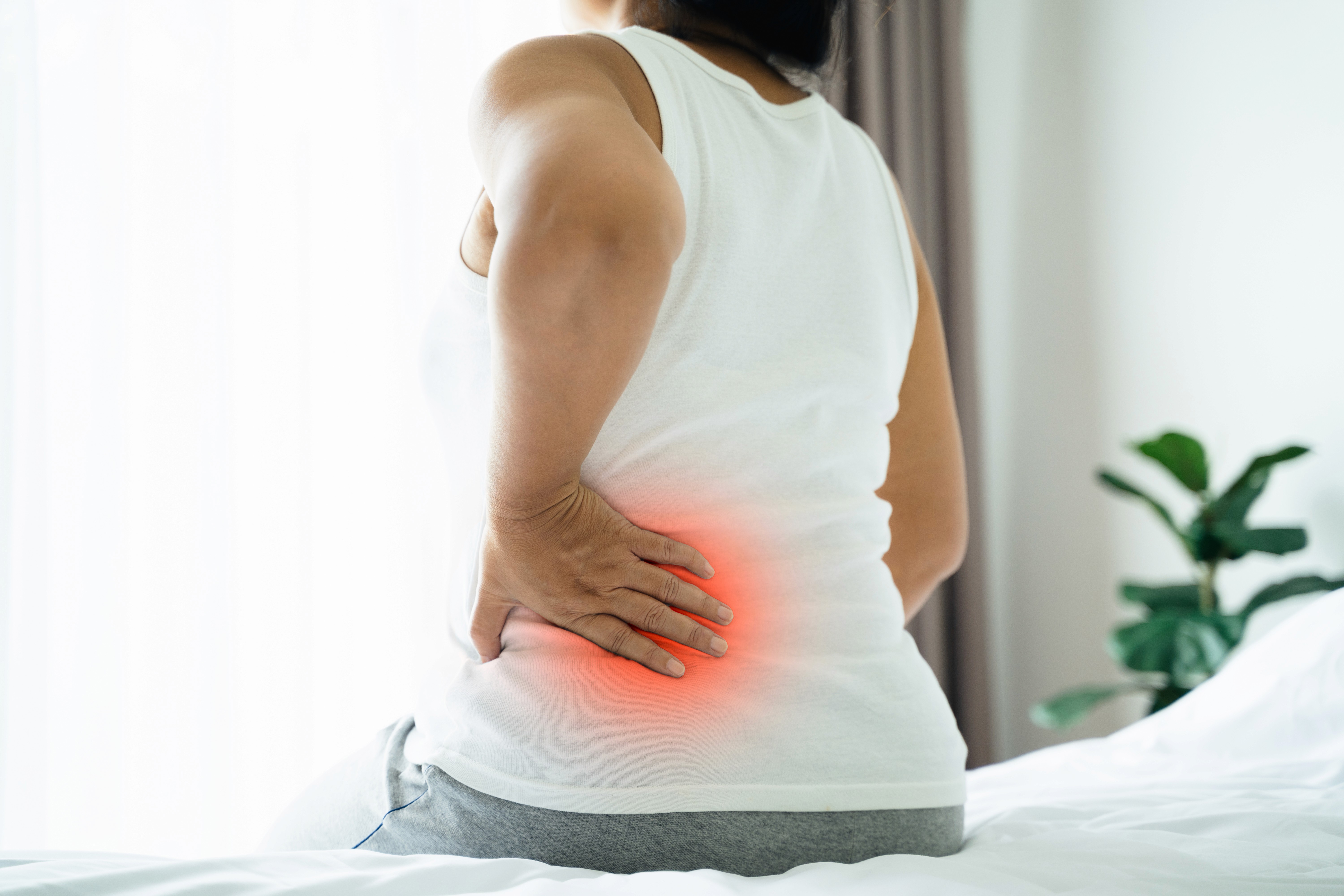 Lower back pain image