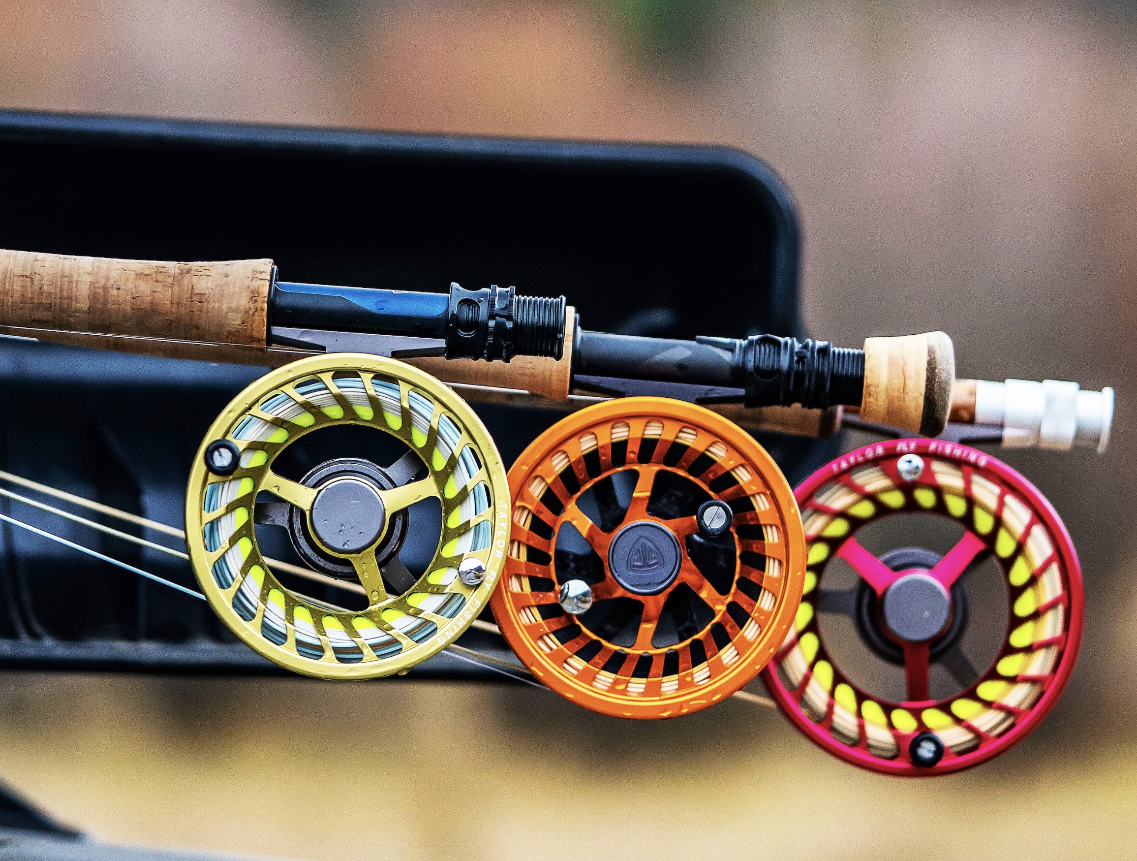 fly fishing rods and reels on a roof rack