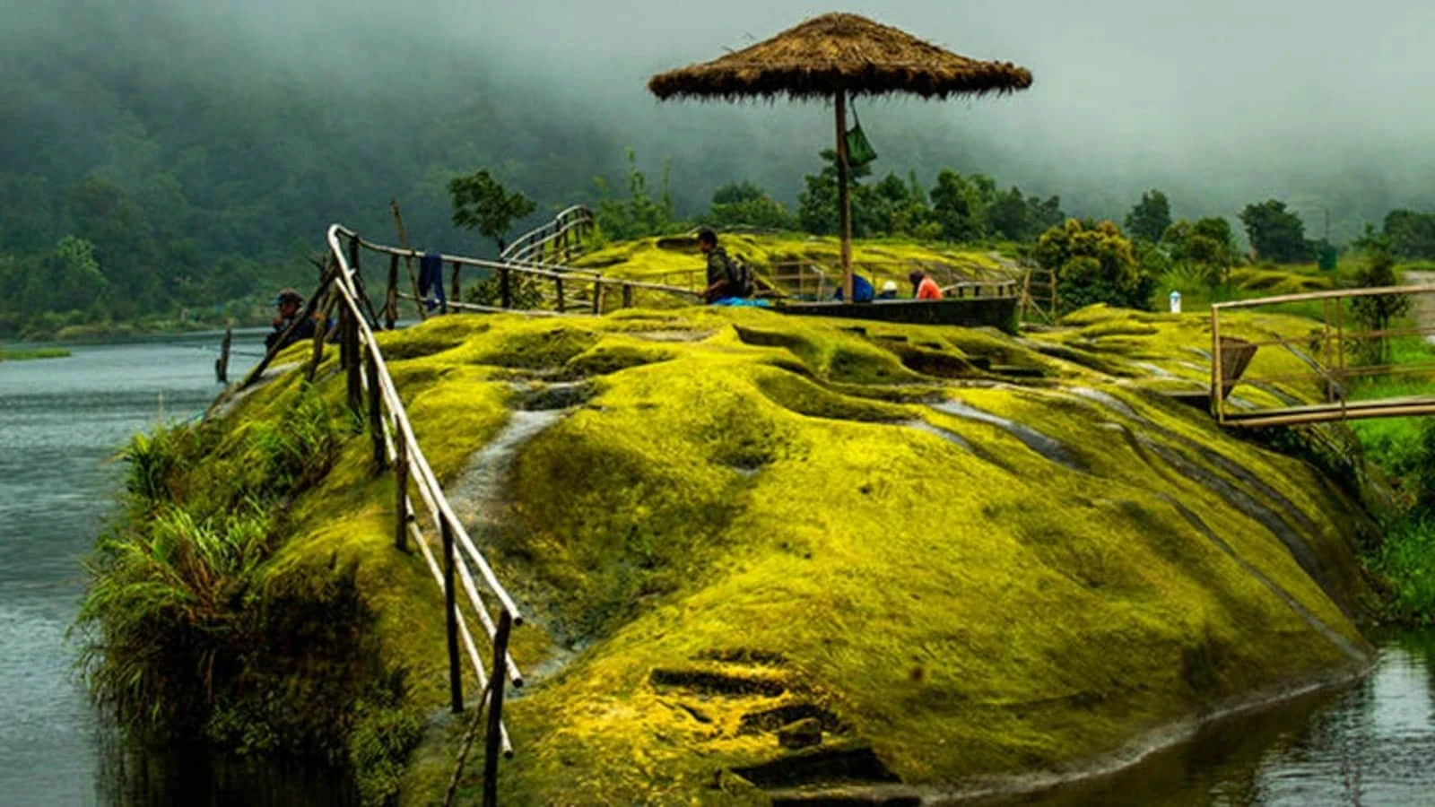 Moss-covered lakeside island