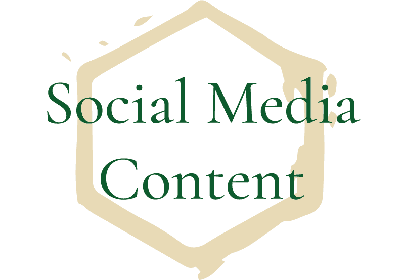 honeycomb-like hexagon illustration with the text Photography