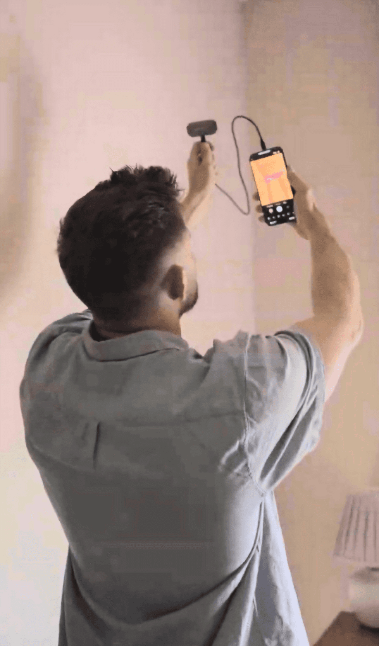 Mold Inspector