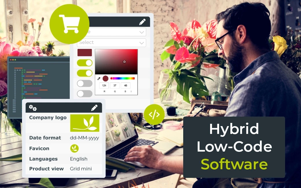 Hybrid low-code afbeelding voorbeeld