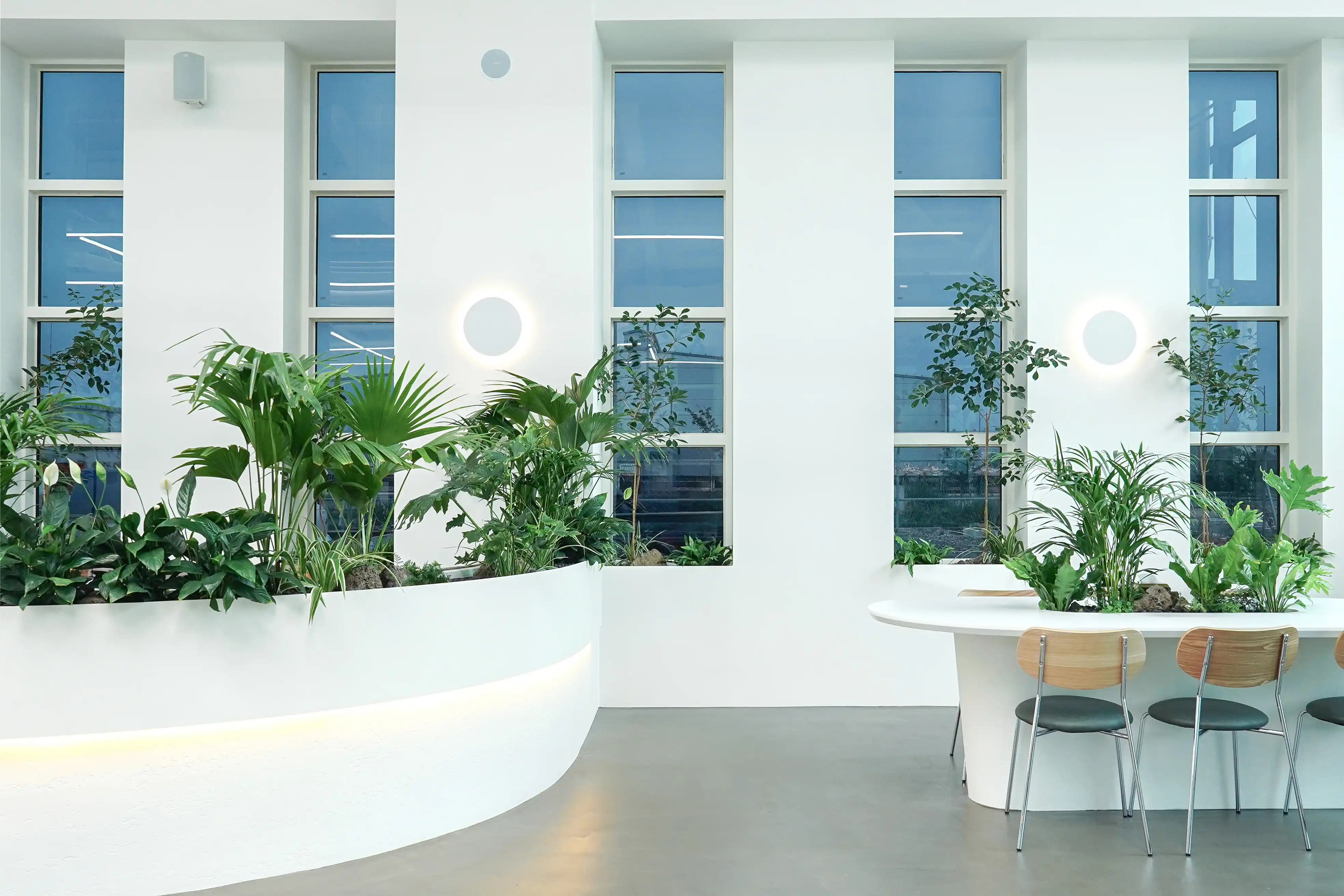 모던한 인테리어 속의 관엽식물 실내정원